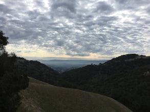 Hike in Mount Diablo's Madrone Canyon