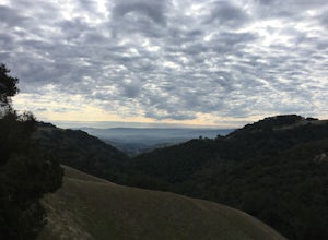 Hike in Mount Diablo's Madrone Canyon