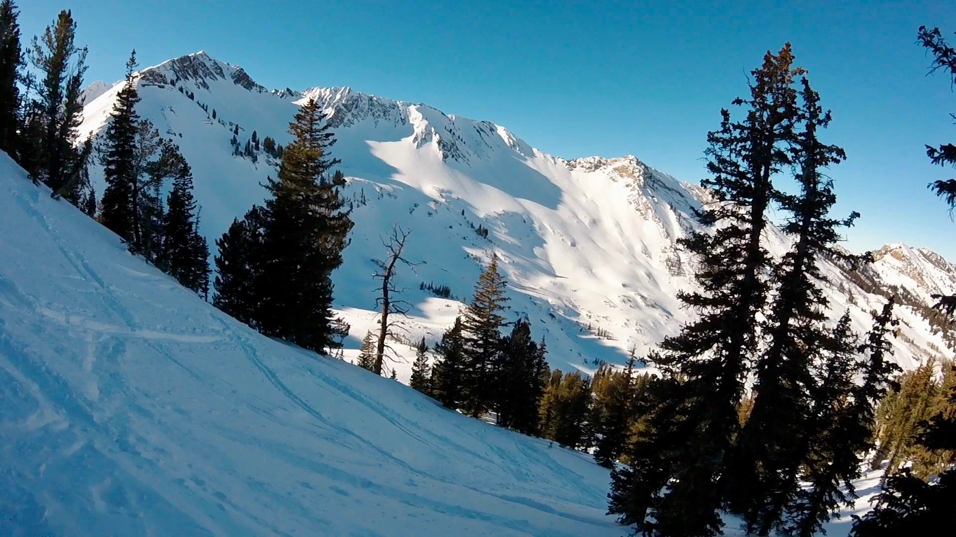 Backcountry Ski Cardiff Fork