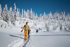 Winter in Washington Means a Whole New Set of Adventures