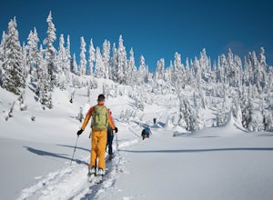 Winter in Washington Means a Whole New Set of Adventures