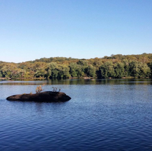 Canoe from Algonkian Regional Park to Riverbend Park