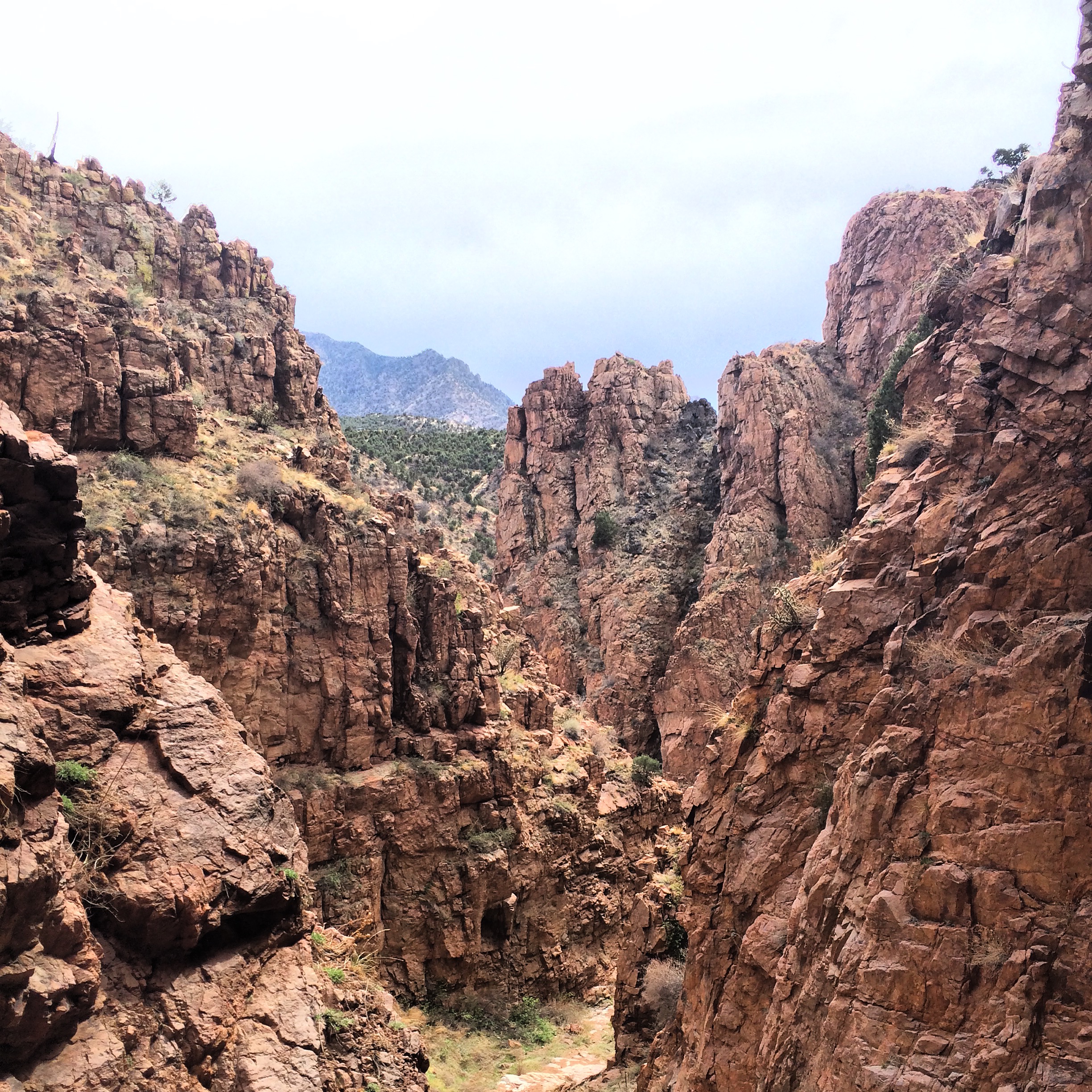 Hike Temple Canyon