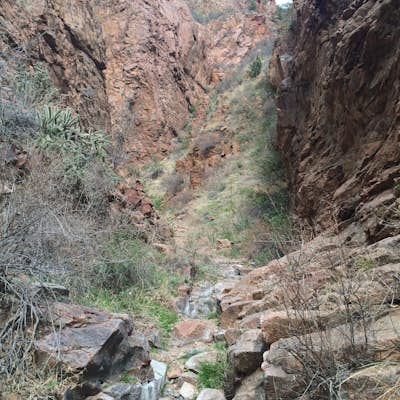 Hike Temple Canyon
