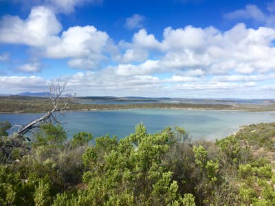 Hike the Yangie Bay Trail in Coffin Bay National Park