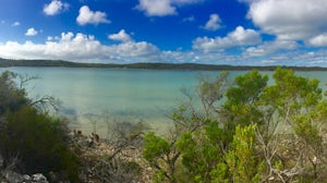 Hike the Yangie Bay Trail in Coffin Bay National Park