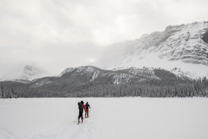 Ski Tour the Crowfoot Glades