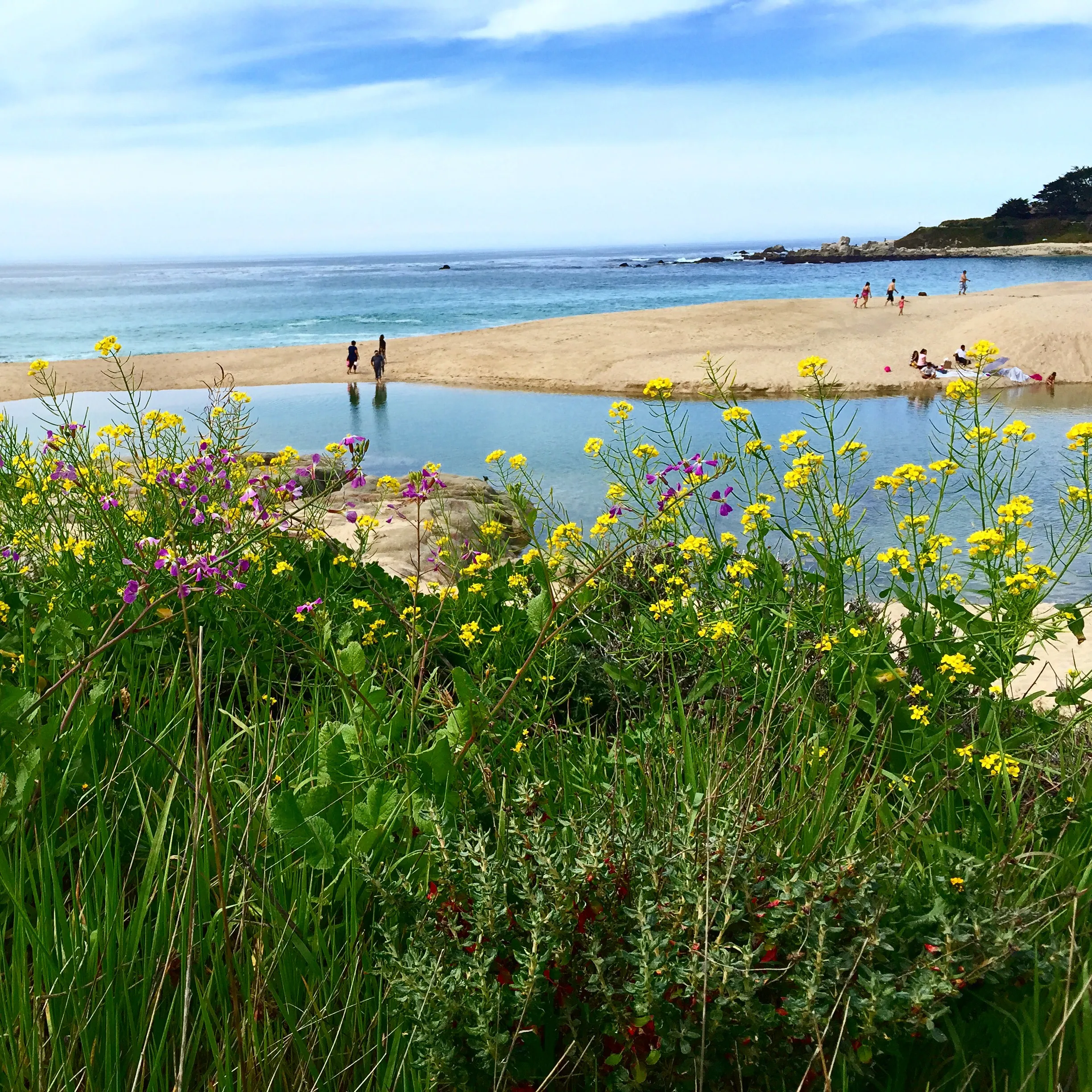 Hike along the Carmel River Beach Trail