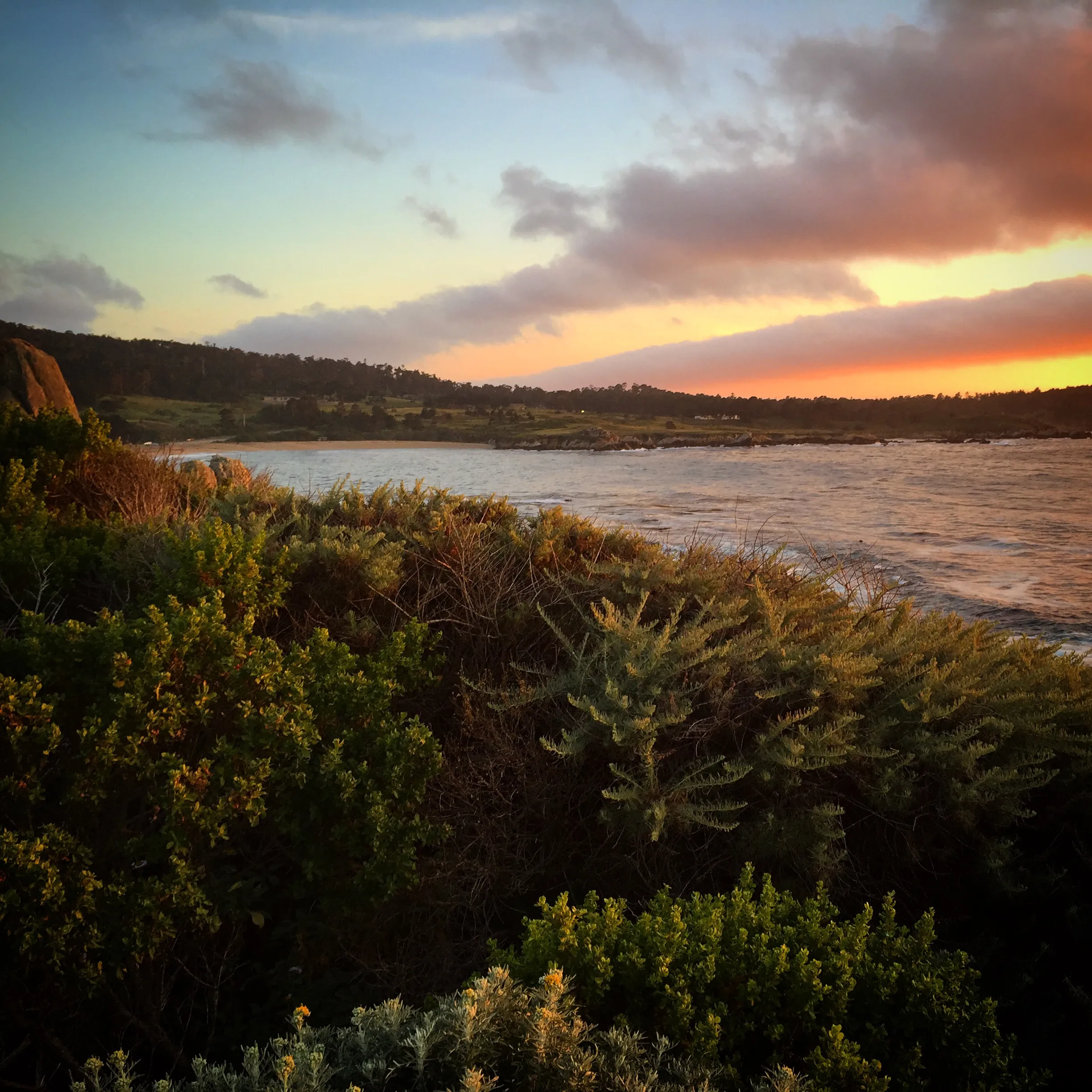 Hike along the Carmel River Beach Trail