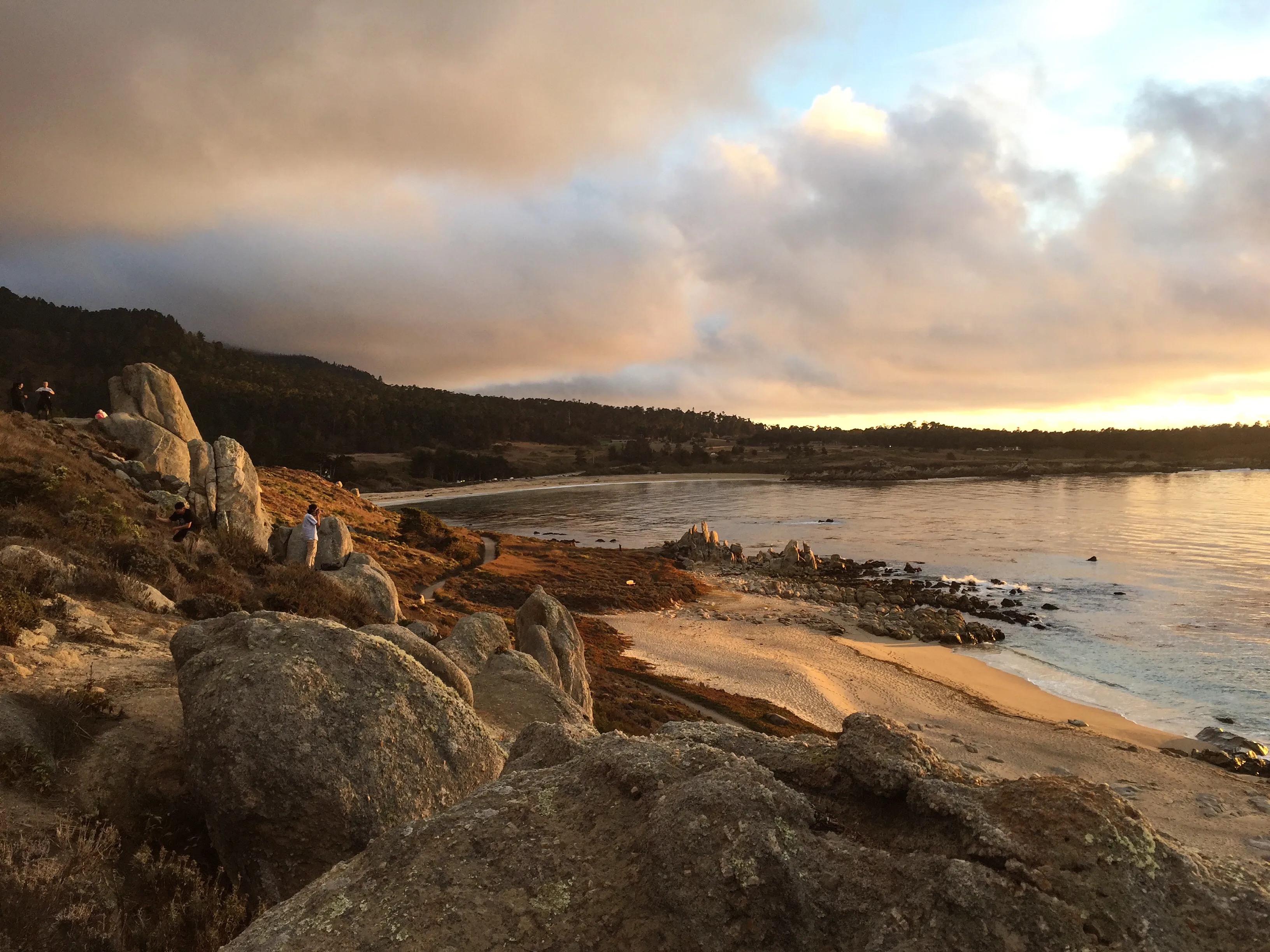 Hike along the Carmel River Beach Trail