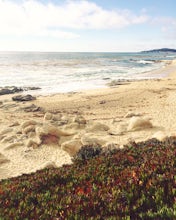 Hike along the Carmel River Beach Trail