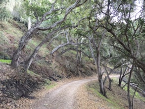 Hike to the Top of Inspiration Point