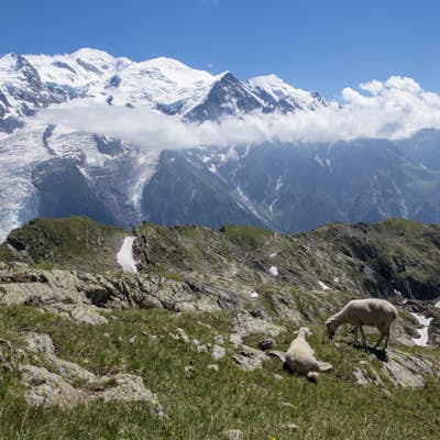 Explore the Le Brévent Summit Alpine Area