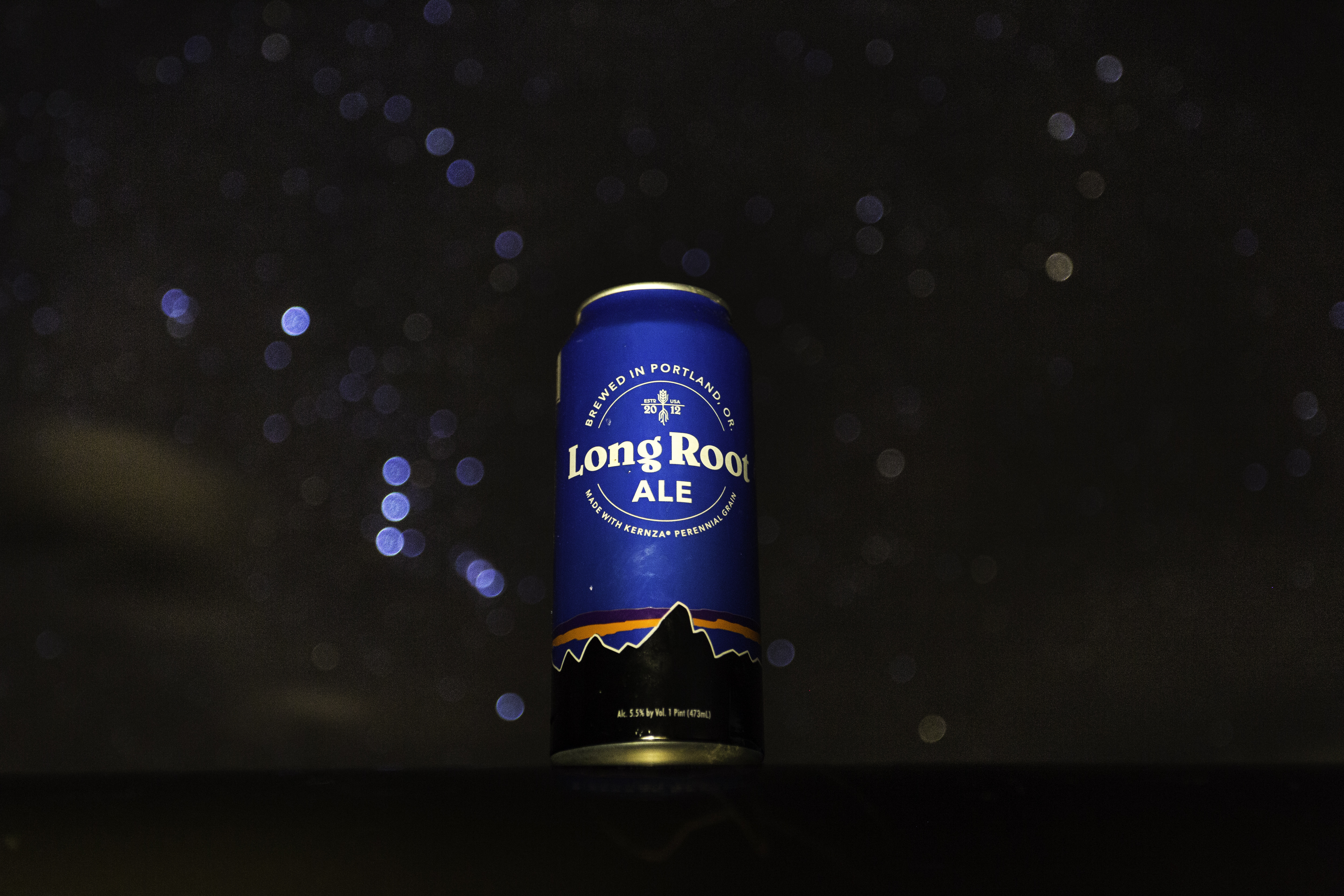 Camp on Dalton Wash Road