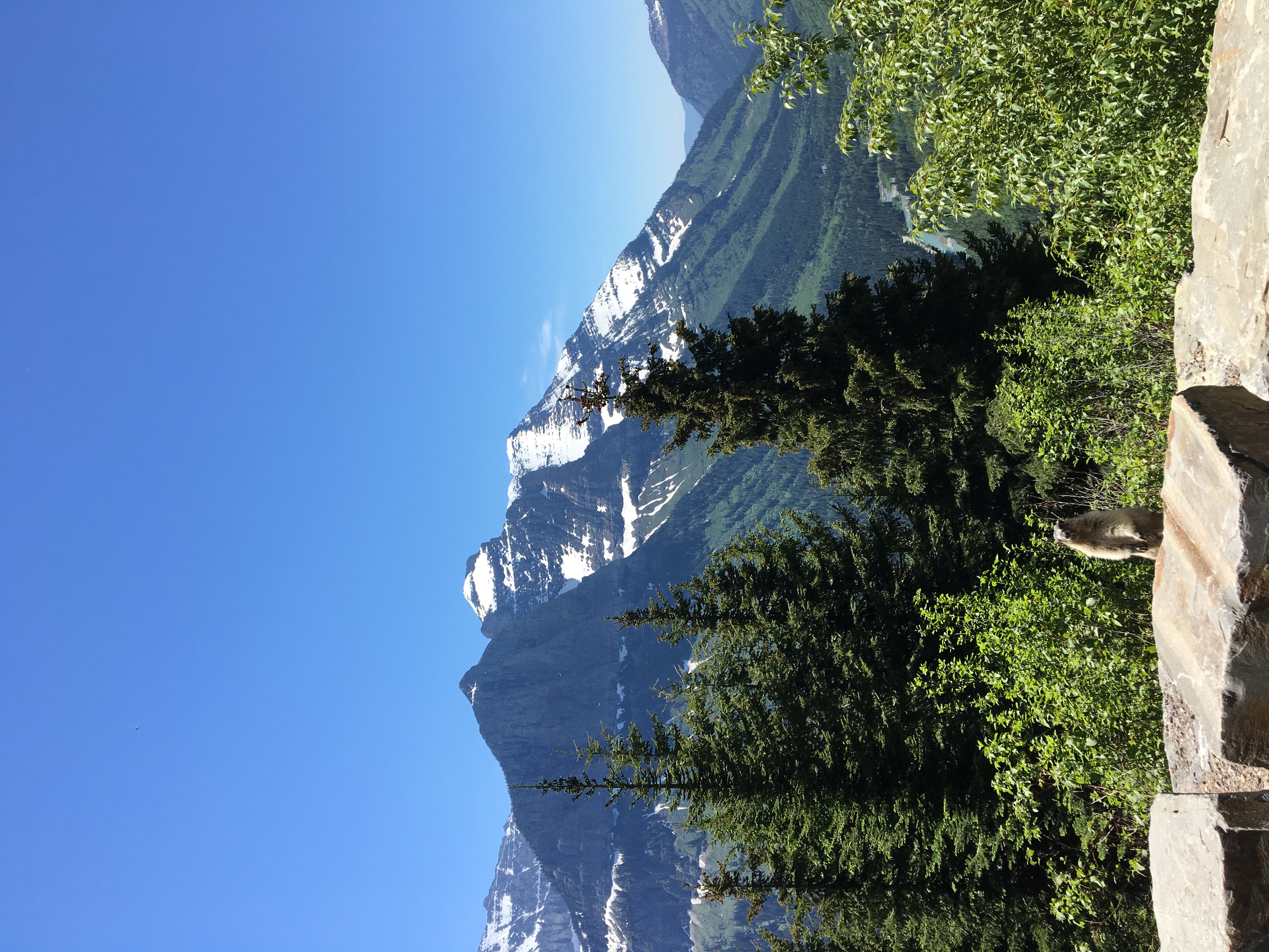 Bike Going-to-the-Sun Road in Glacier National Park