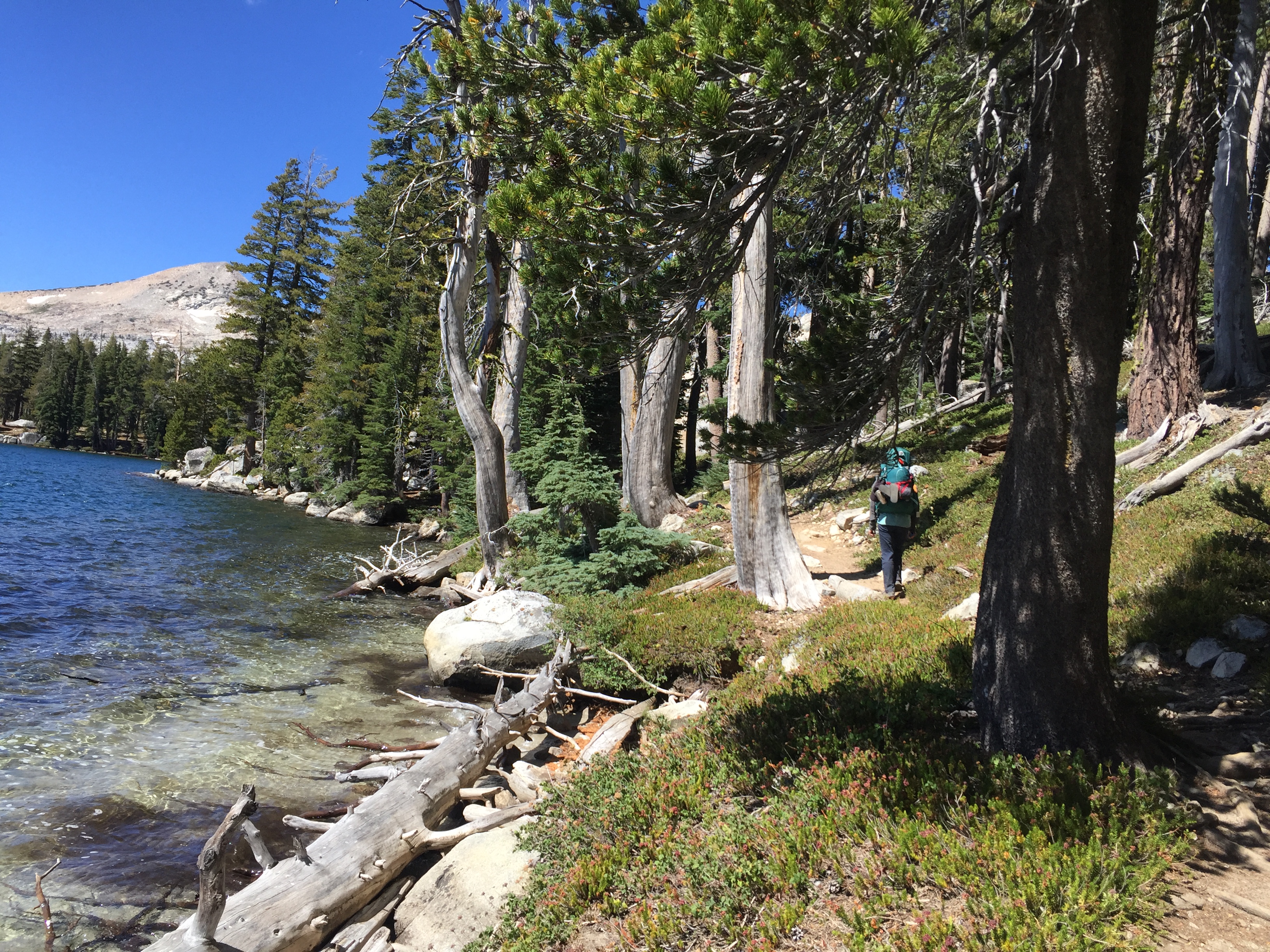 Backpack to Lake of the Woods, Desolation Wilderness in the Tahoe Basin 