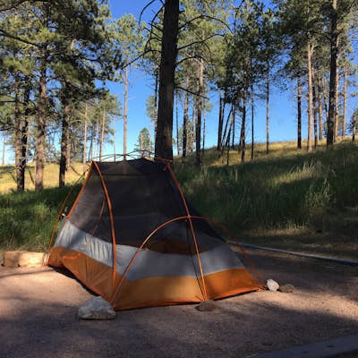 Camp at Elk Mountain Campground in Wind Cave National Park
