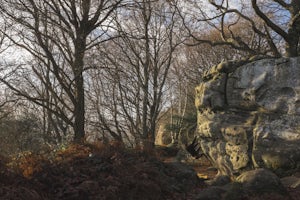 Sandstone Bouldering at Stone Farm