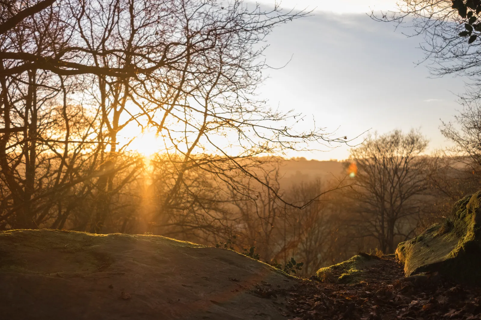 Sandstone Bouldering at Stone Farm