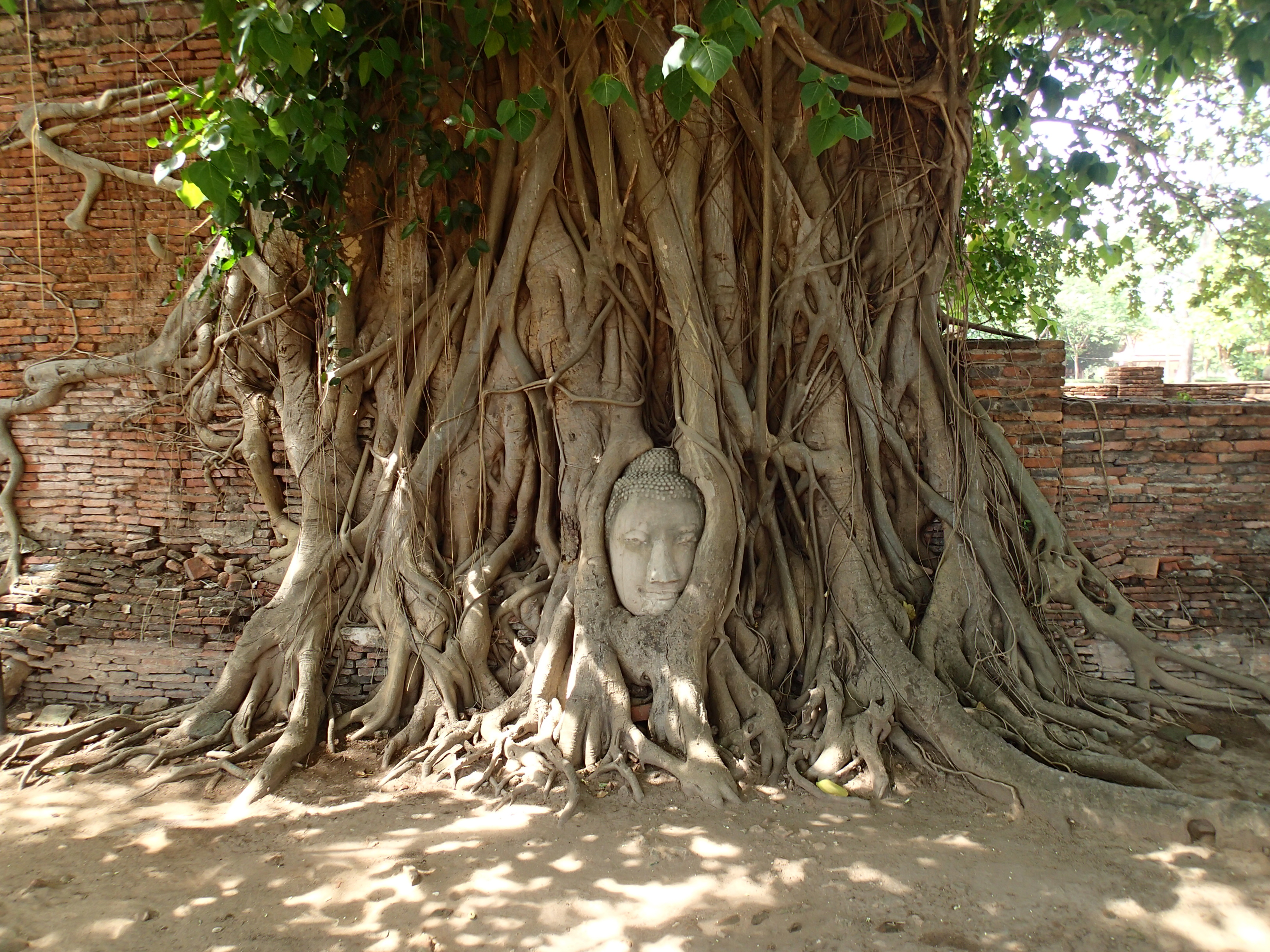 Explore Wat Mahathat