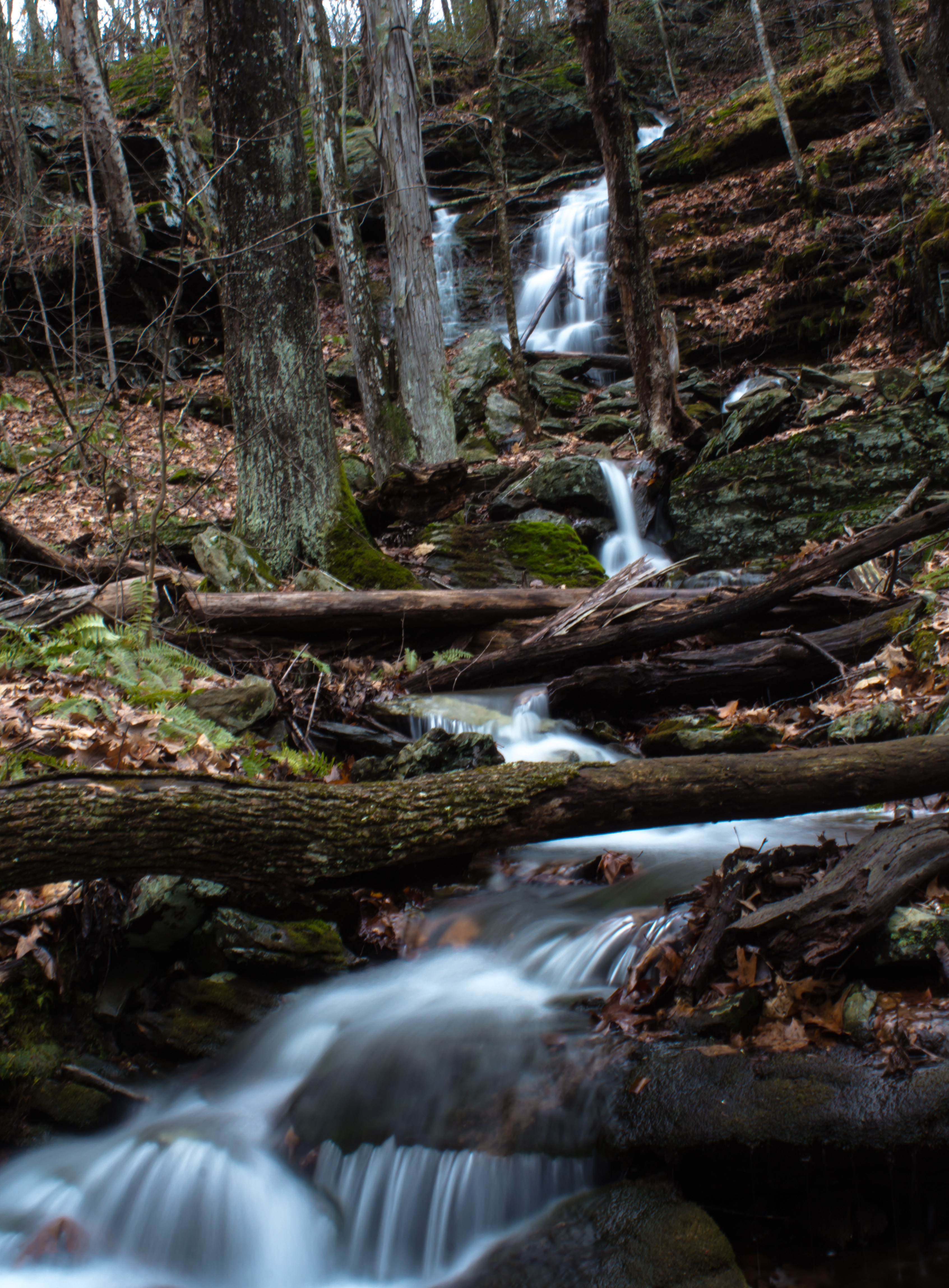 Hike the Sprague Land Preserve Loop, Franklin, Connecticut