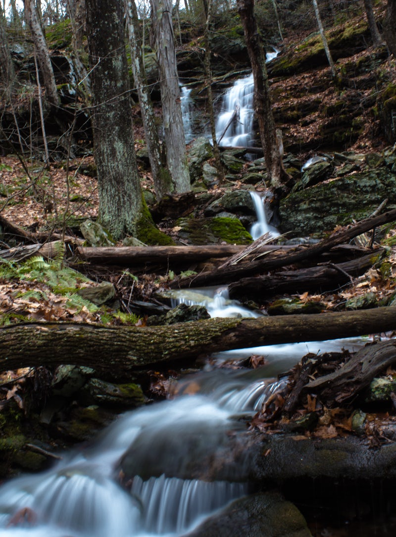 Photo of Hike the Sprague Land Preserve Loop