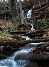 Hike the Sprague Land Preserve Loop