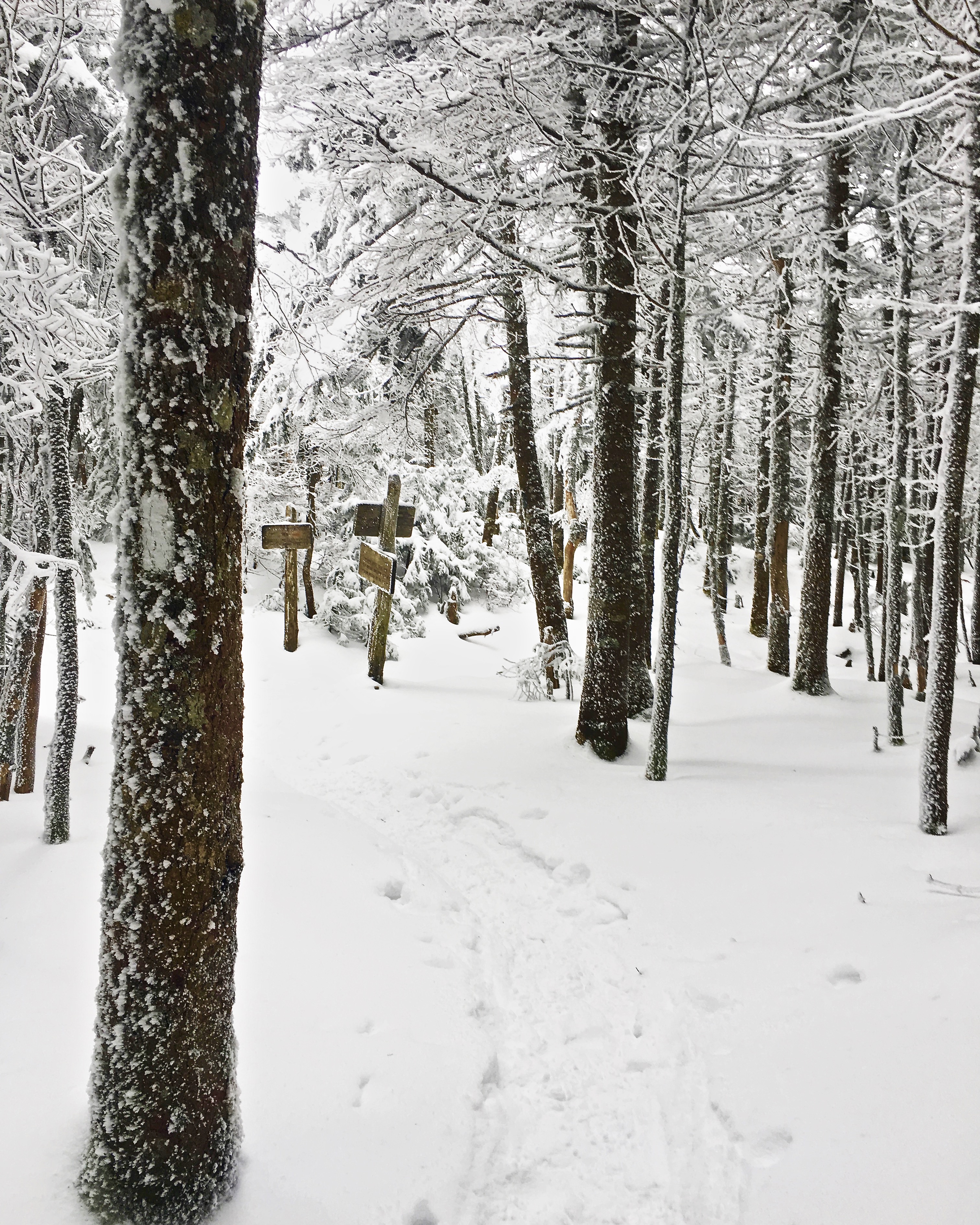 Winter Hike North Kinsman