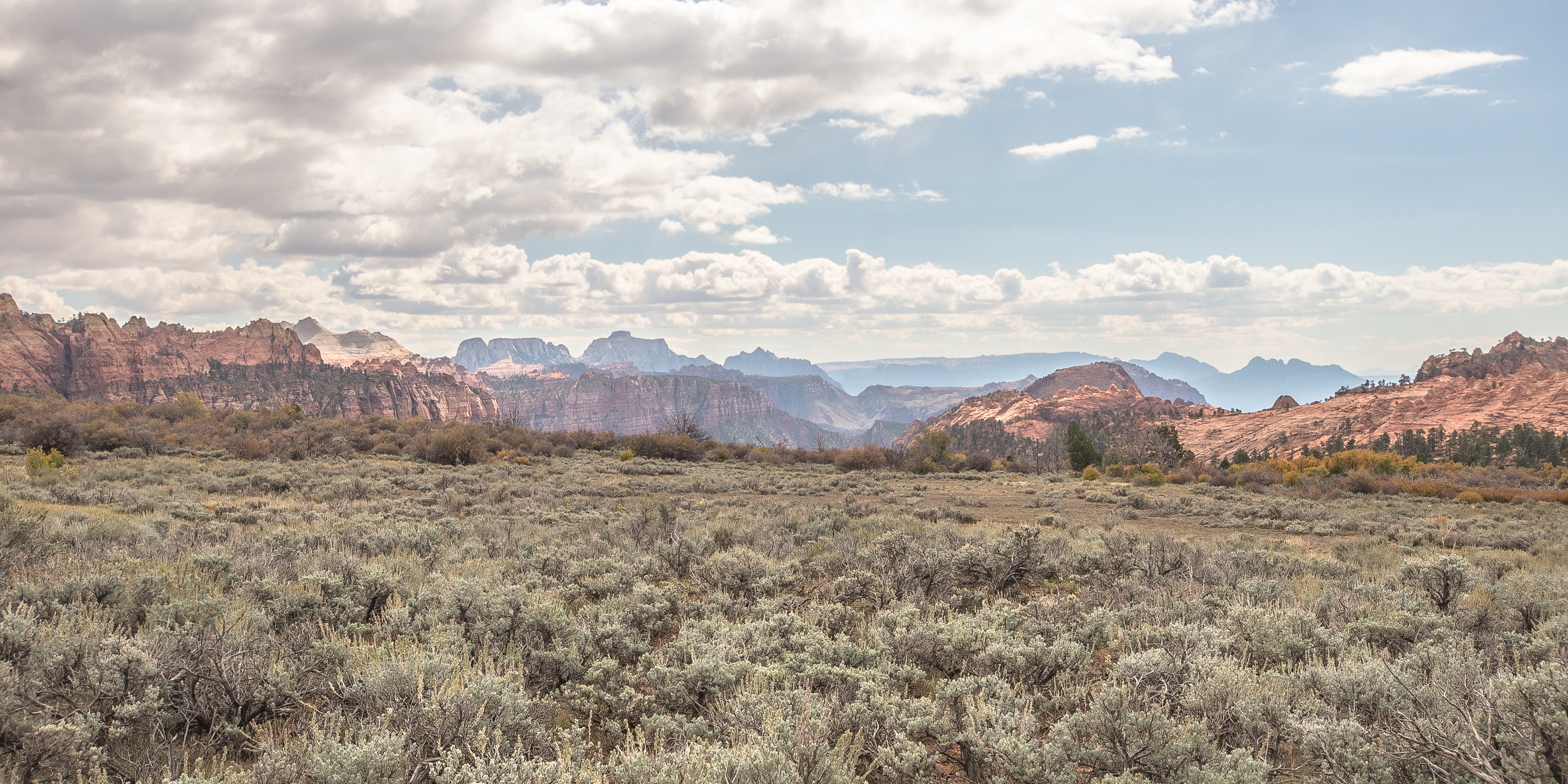 Connector Trail, Zion NP