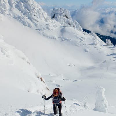 Snowshoe Mt. Ellinor's Winter Route