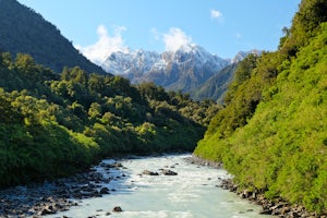 Hike to the Fox Glacier