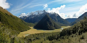 Day Hike to Harris Saddle (Routeburn Track)