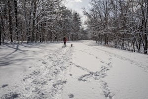 Snowshoe the Blue Ridge Parkway