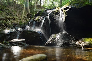 Explore Riga Falls