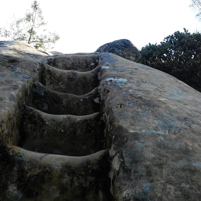 Hike the Trail Through Time in Mount Diablo State Park
