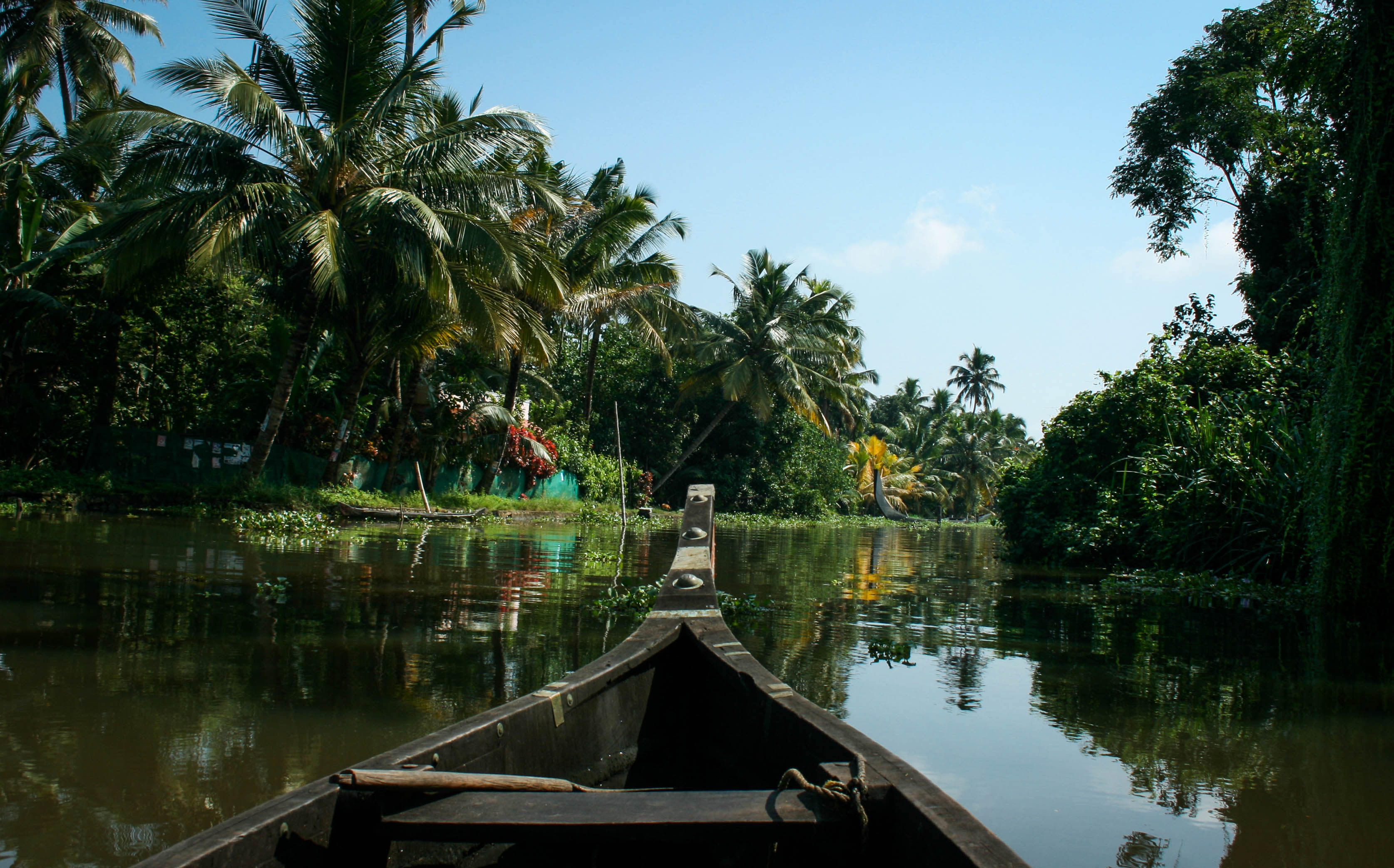 Explore the Allepey Backwaters 
