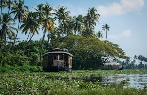 Explore the Allepey Backwaters 