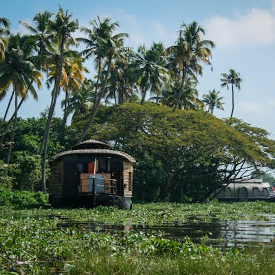 Explore the Allepey Backwaters 