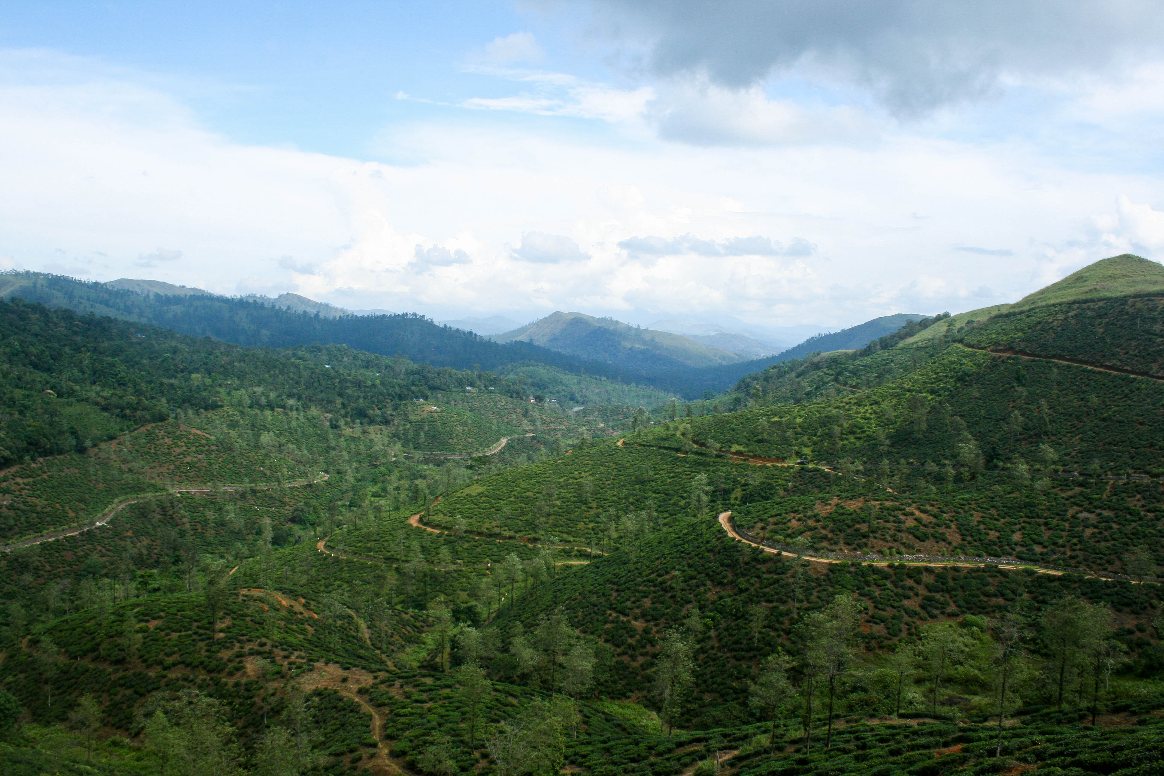 Tour the Periyar Tiger Reserve 