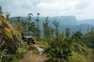 Tour the Periyar Tiger Reserve 