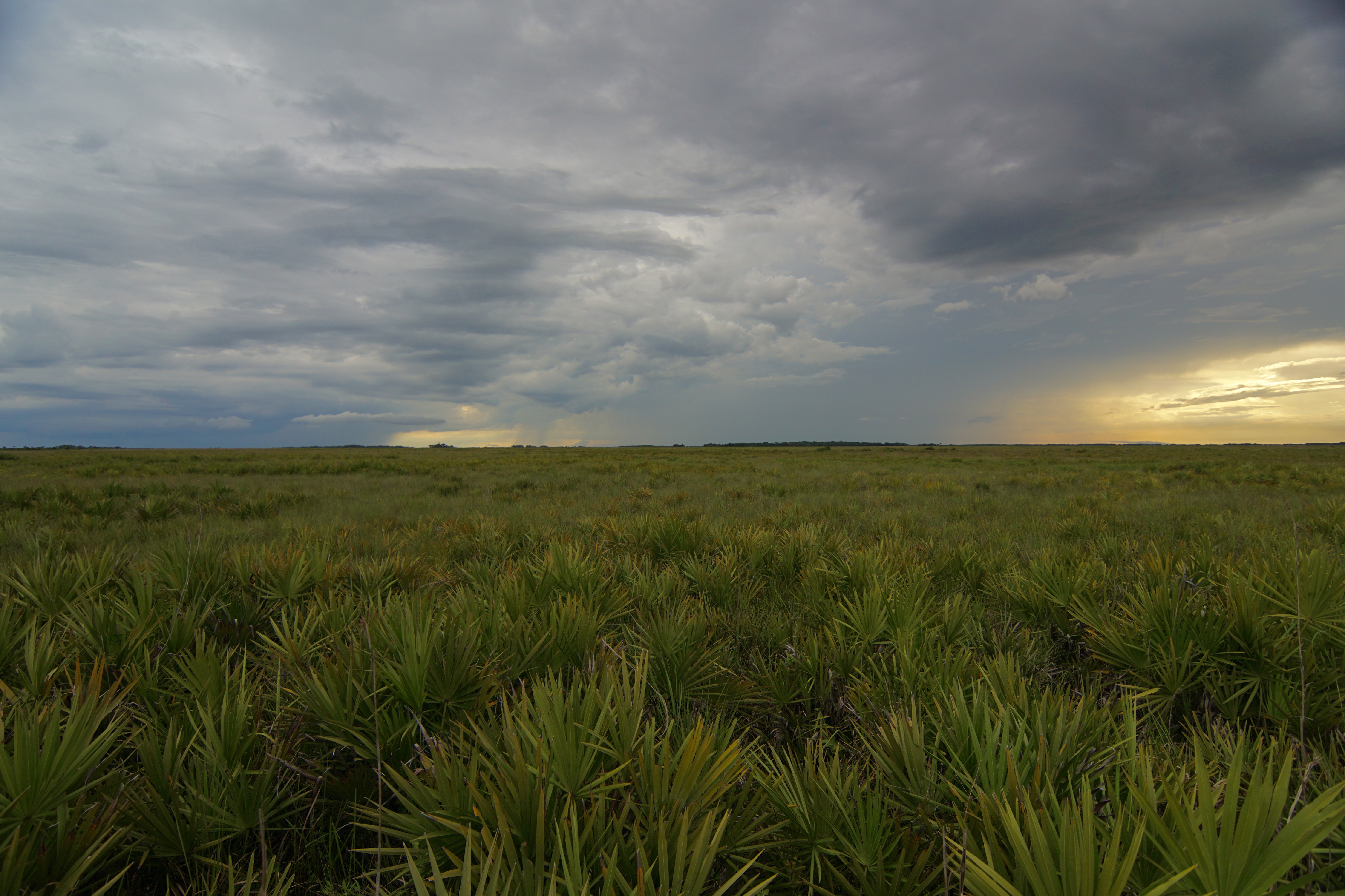 Camp at Kissimmee Prairie Preserve State Park