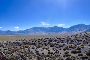 Hike Panum Crater Trail