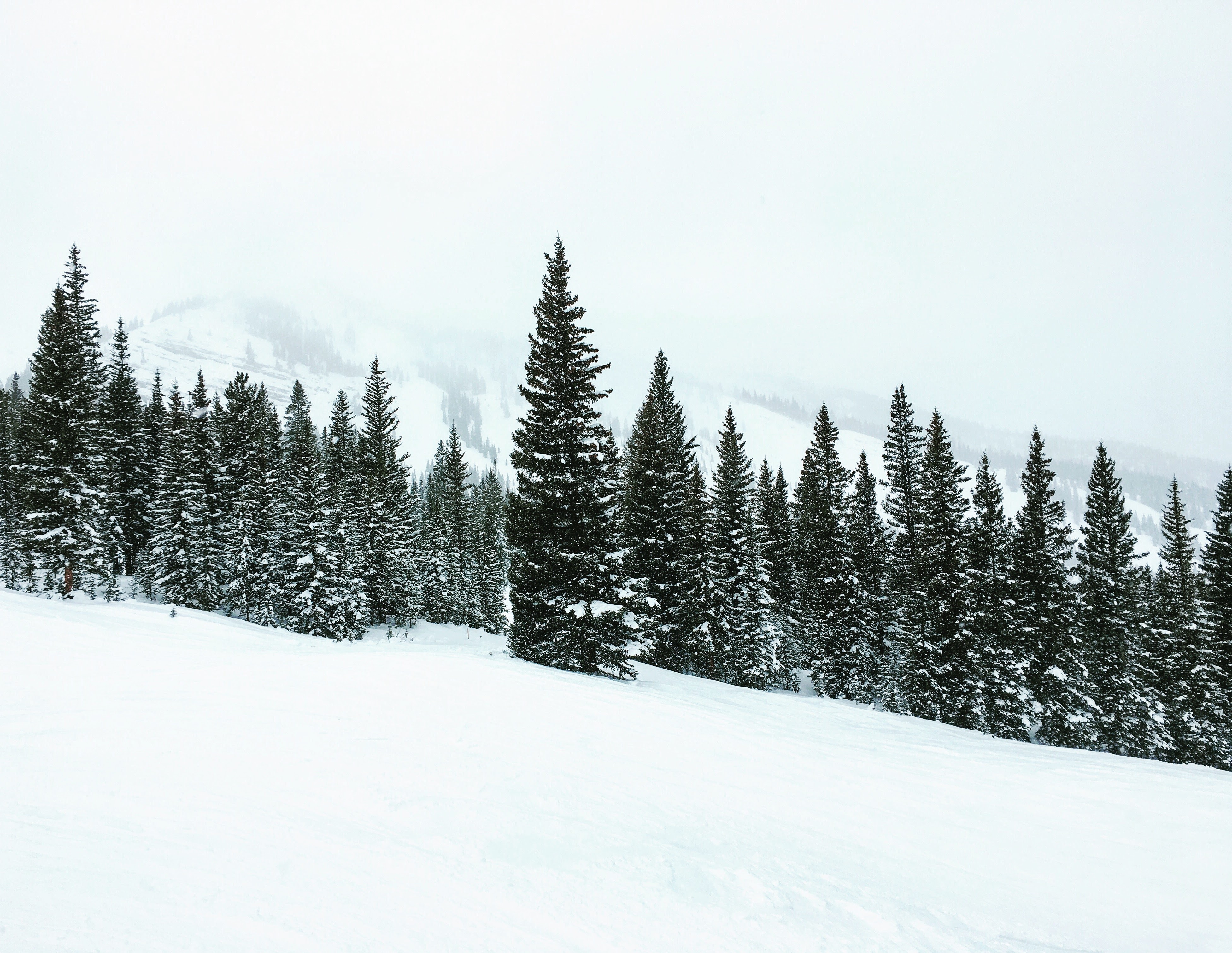 Ski the Rocky Mountain High Trail at Snowmass