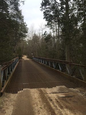 Hike to Quaker Bridge via Atsion