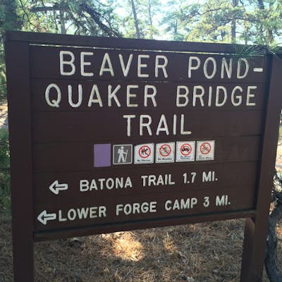 Hike to Quaker Bridge via Atsion