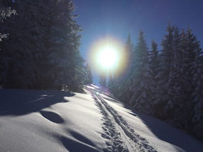 Backcountry Ski Pillsteinhöhe
