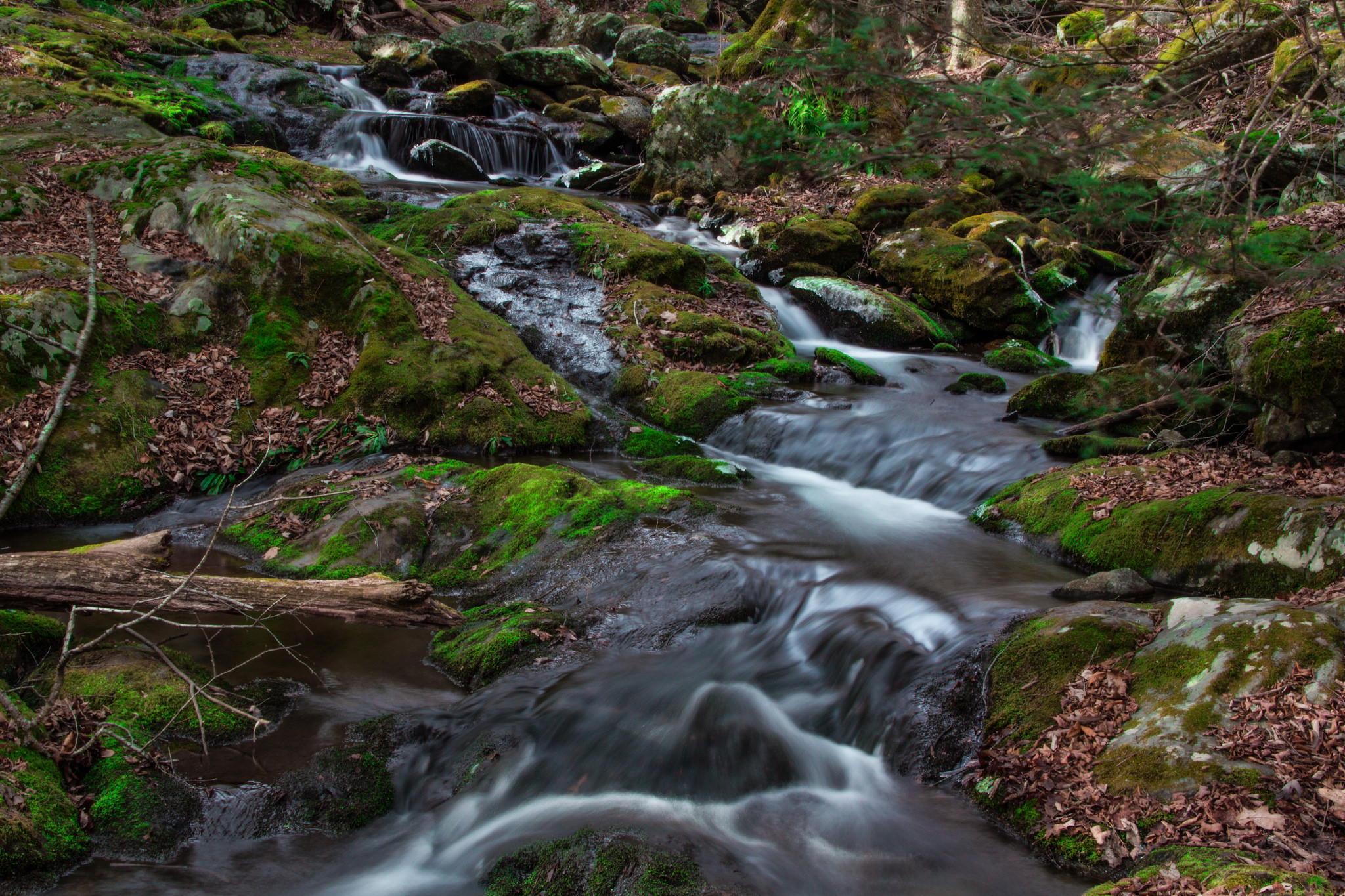 Hike to Historical Rapidan Camp in Shenandoah National Park