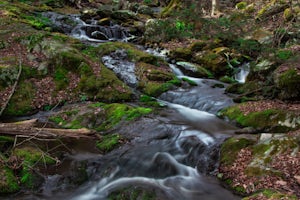 Hike to Historical Rapidan Camp in Shenandoah National Park