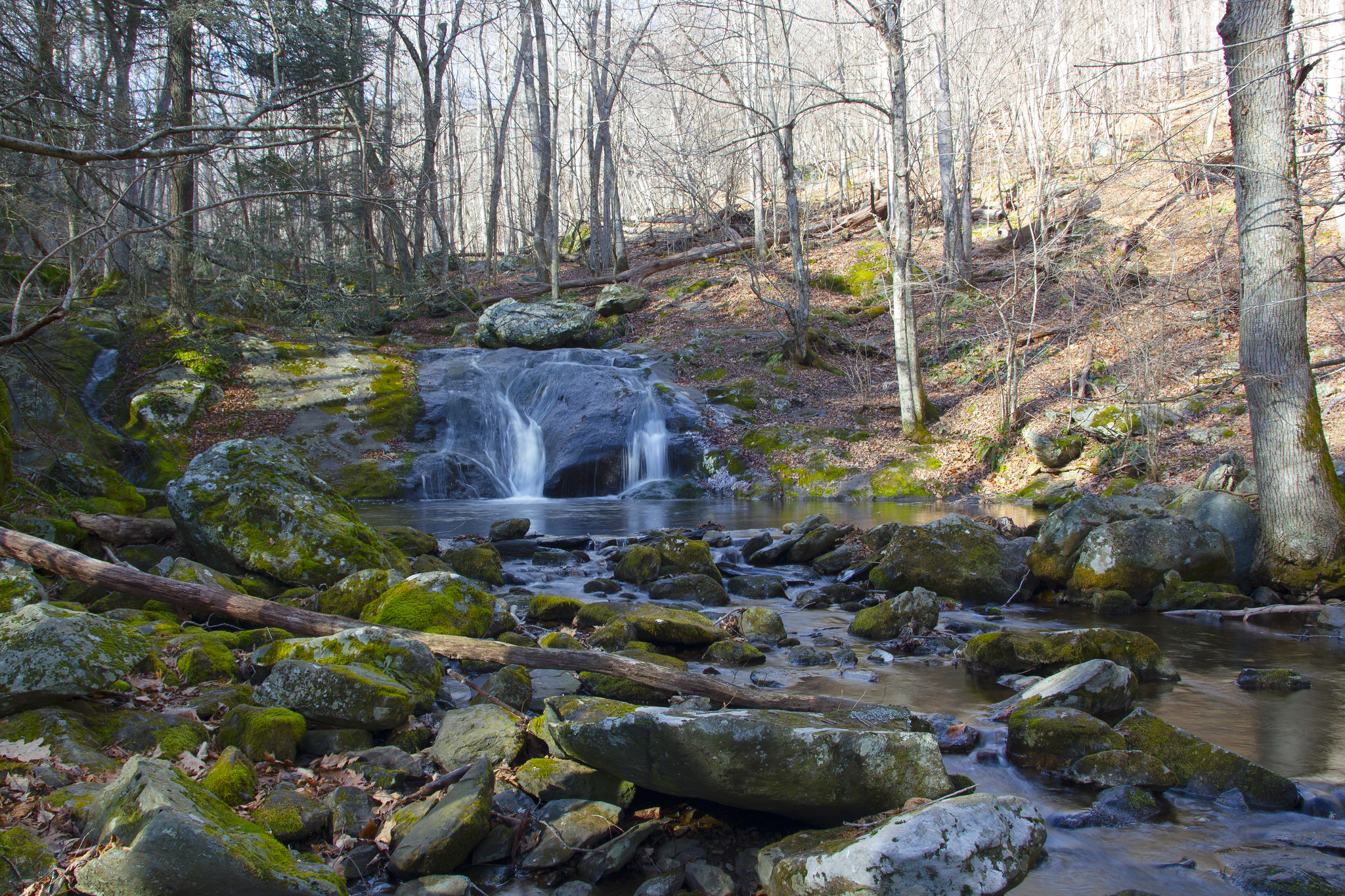 Hike to Historical Rapidan Camp in Shenandoah National Park