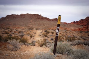 Hike the Prospect Trail in the Valley of Fire